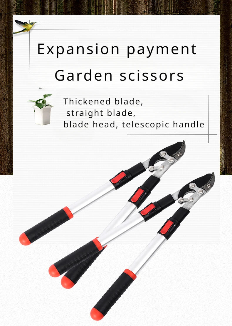 Screw Fixing Technology Long-term Sturdy Practical Garden Pruning Special Scissors Fine Grinding Blade Technology Convenient