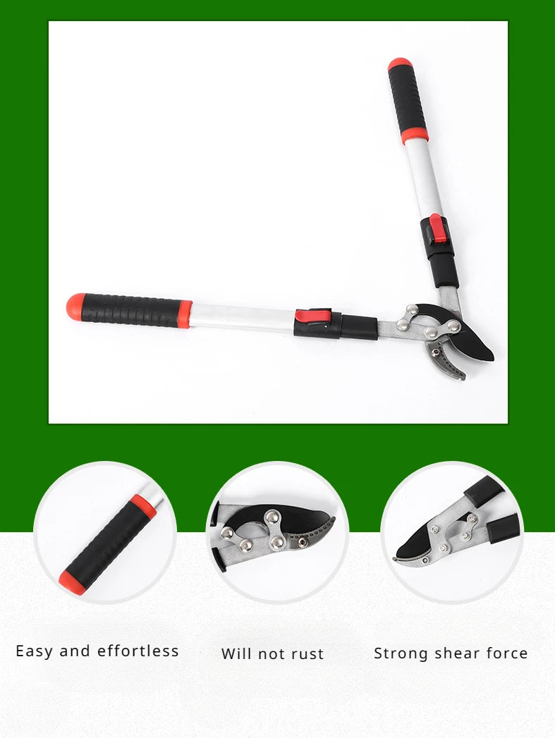 Screw Fixing Technology Long-term Sturdy Practical Garden Pruning Special Scissors Fine Grinding Blade Technology Convenient