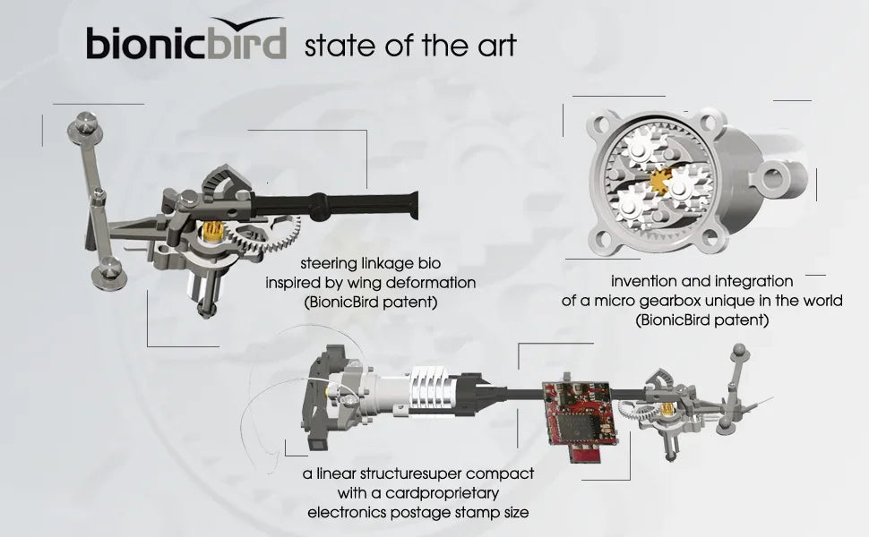 MetaFly Standard Kit by BionicBird High-Tech Electronic Biomimetic and Radio-Controlled Insect Drone for Indoor and Outdoor Use