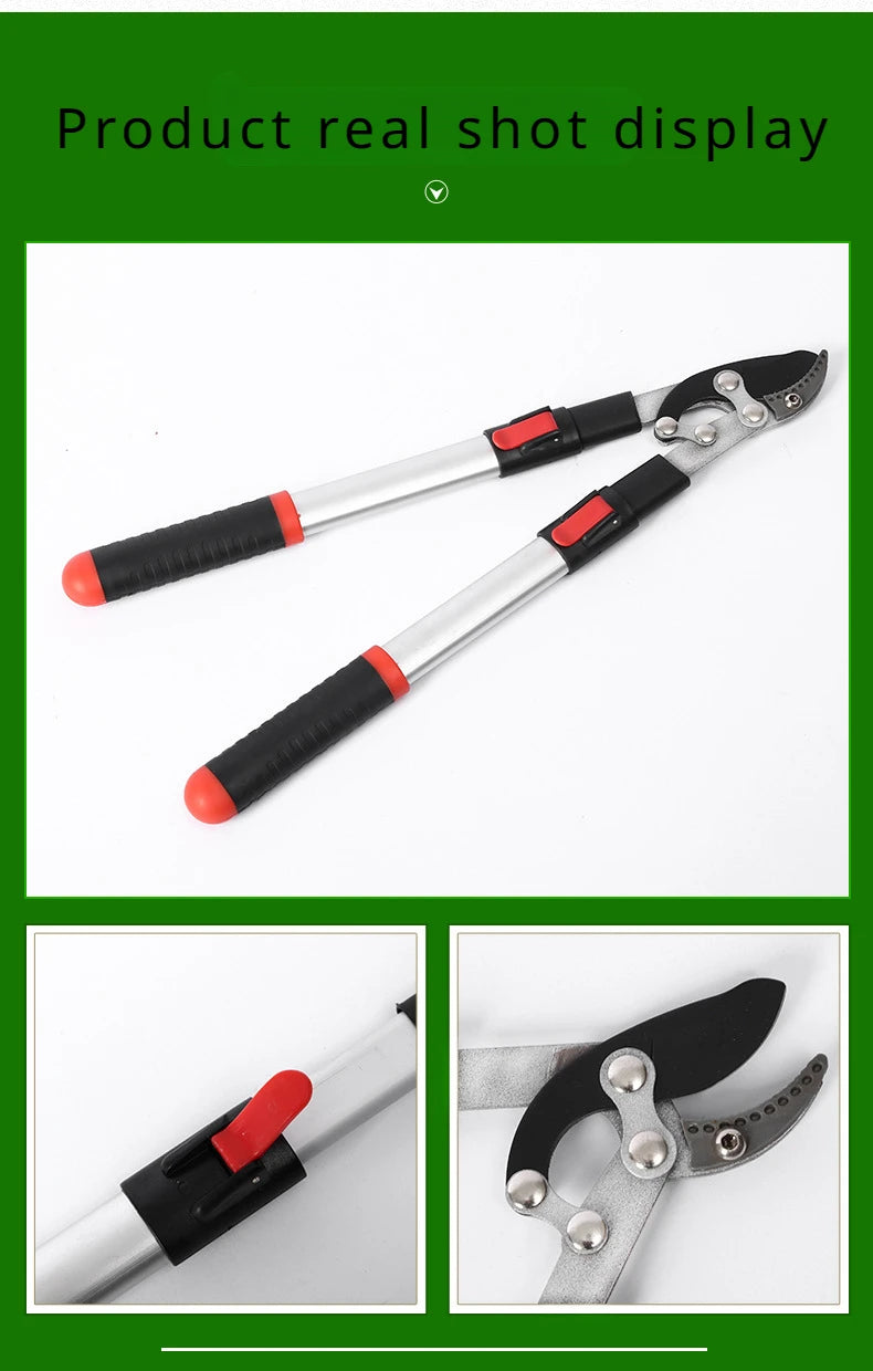 Screw Fixing Technology Long-term Sturdy Practical Garden Pruning Special Scissors Fine Grinding Blade Technology Convenient