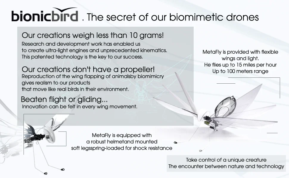 MetaFly Standard Kit by BionicBird High-Tech Electronic Biomimetic and Radio-Controlled Insect Drone for Indoor and Outdoor Use