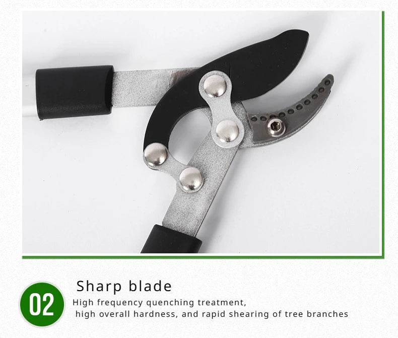 Screw Fixing Technology Long-term Sturdy Practical Garden Pruning Special Scissors Fine Grinding Blade Technology Convenient