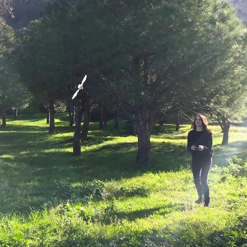 MetaFly Standard Kit by BionicBird High-Tech Electronic Biomimetic and Radio-Controlled Insect Drone for Indoor and Outdoor Use